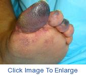 DSC00251